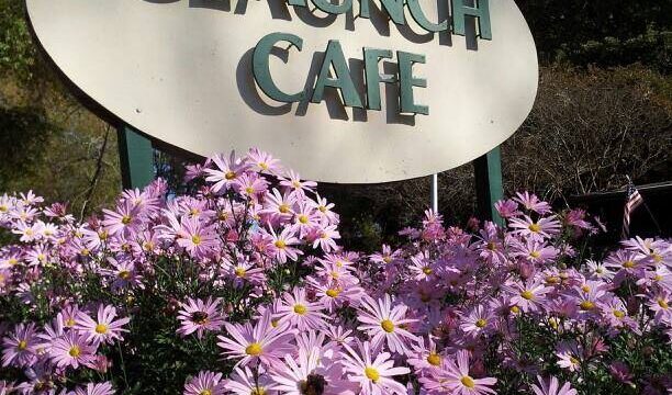 Claunch Cafe