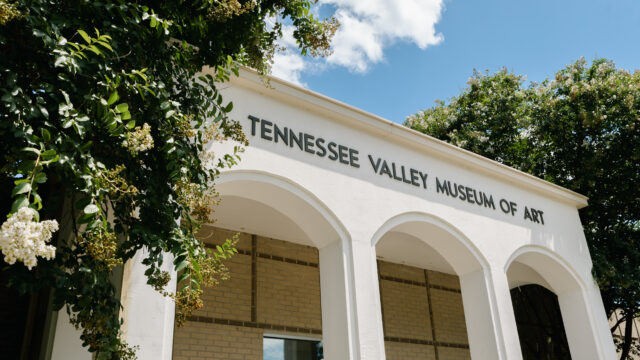 Ivy Green _ Art Museum -02
