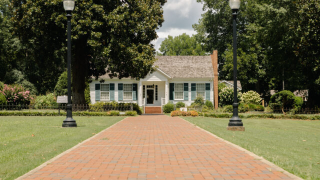 Ivy Green _ Art Museum -17